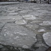 gizwiz > You know what we need right here? Just a bit of global warming!